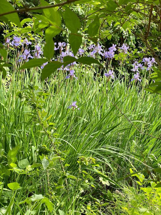 Freiblick 1 Bad Glbg Mit Garten Top1 Bad Gleichenberg Eksteriør bilde