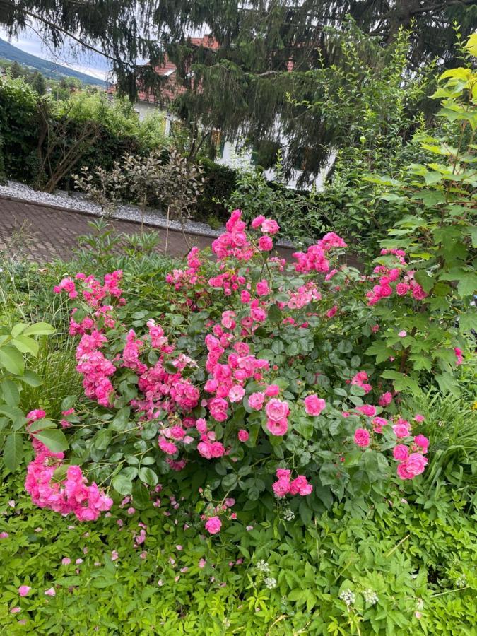 Freiblick 1 Bad Glbg Mit Garten Top1 Bad Gleichenberg Eksteriør bilde
