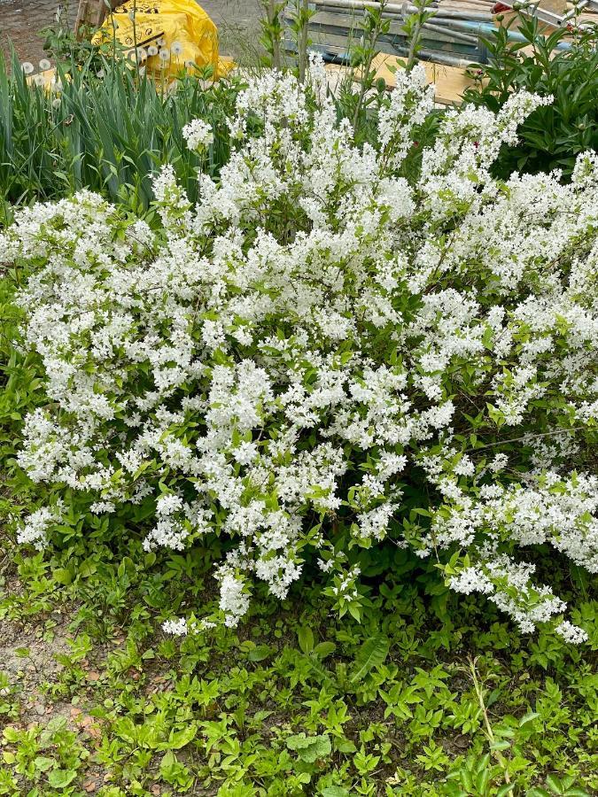Freiblick 1 Bad Glbg Mit Garten Top1 Bad Gleichenberg Eksteriør bilde